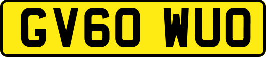 GV60WUO