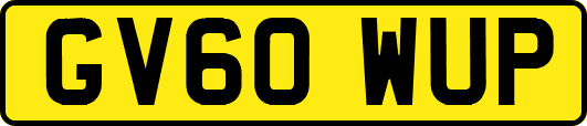 GV60WUP