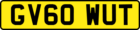 GV60WUT
