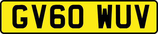 GV60WUV
