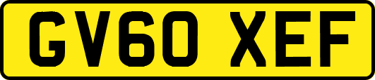 GV60XEF