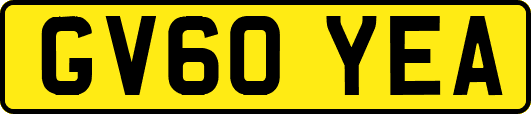 GV60YEA