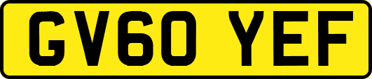 GV60YEF