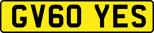 GV60YES