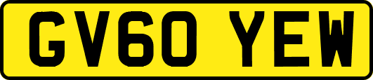 GV60YEW