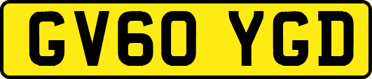 GV60YGD