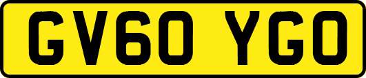 GV60YGO