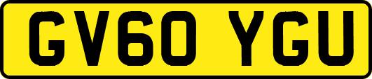 GV60YGU