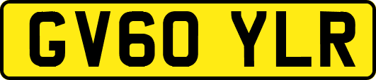 GV60YLR