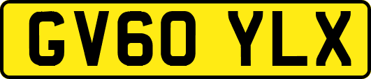 GV60YLX