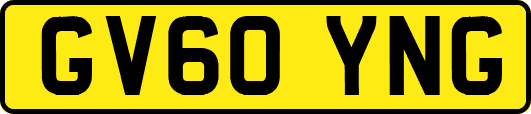 GV60YNG