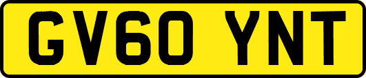 GV60YNT
