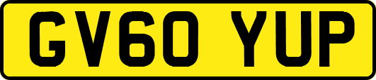 GV60YUP