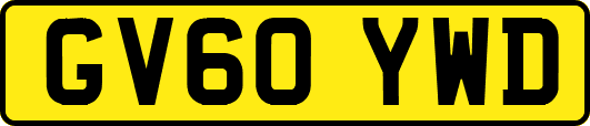 GV60YWD
