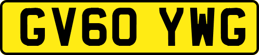 GV60YWG