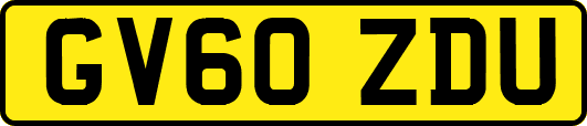 GV60ZDU