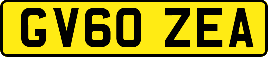 GV60ZEA