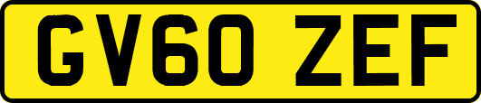GV60ZEF