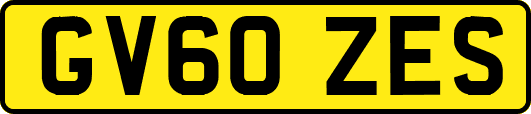 GV60ZES