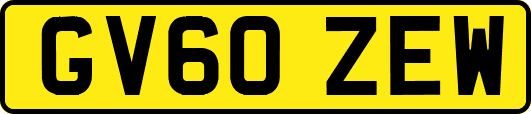 GV60ZEW