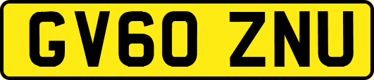 GV60ZNU