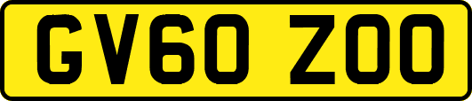 GV60ZOO