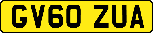 GV60ZUA