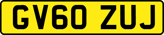 GV60ZUJ