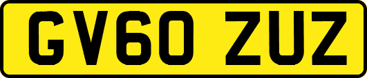 GV60ZUZ