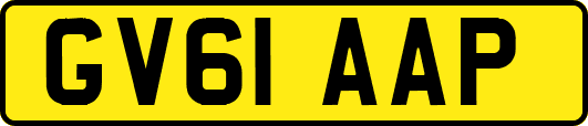 GV61AAP