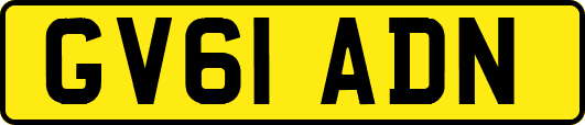 GV61ADN