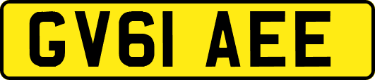 GV61AEE