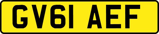 GV61AEF
