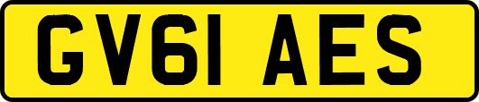 GV61AES