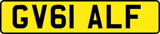 GV61ALF