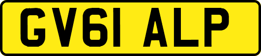 GV61ALP