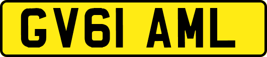 GV61AML