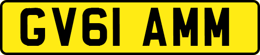 GV61AMM