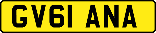 GV61ANA