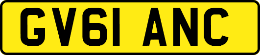 GV61ANC