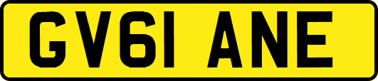 GV61ANE