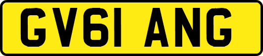 GV61ANG