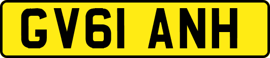 GV61ANH
