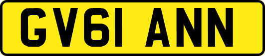 GV61ANN