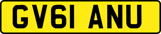 GV61ANU