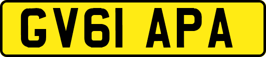 GV61APA