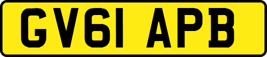 GV61APB