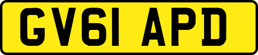 GV61APD