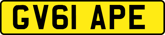 GV61APE