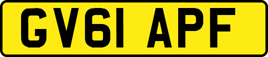 GV61APF
